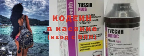 сатива Ростов