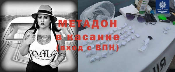 прущие грибы Рославль